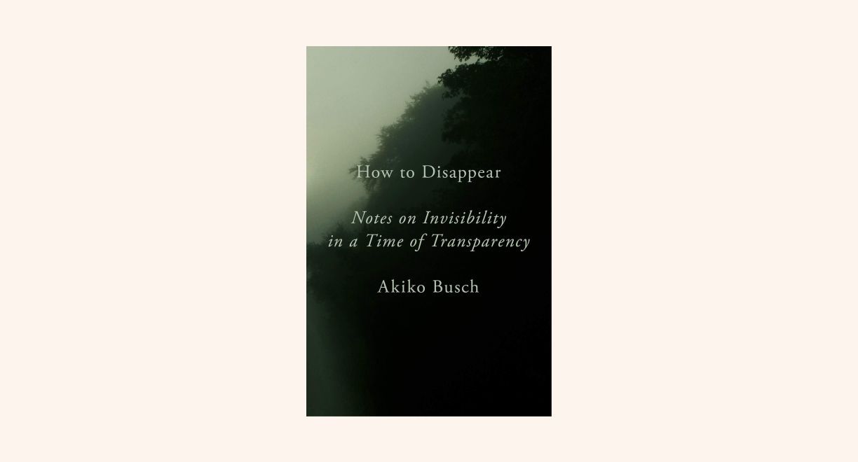 How to Disappear: Notes on Invisibility in a Time of Transparency cover